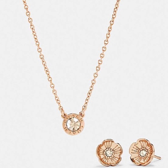 Coach Jewelry - Sexy Rose Gold - COACH Necklace & Earring Set